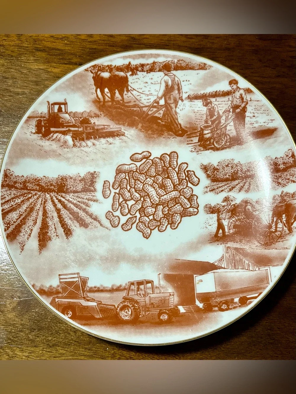 Vintage 8.5” PEANUTS... A Part of Our Life - Porcelain Collector Plate